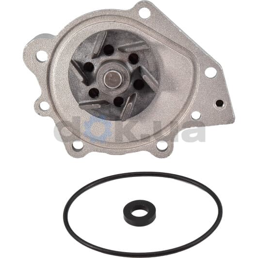 M243 Dolz Помпа