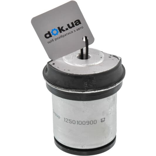 1250100900 JP Group Сайлентблок балки