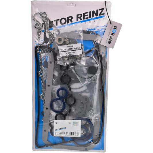 01-53300-01 Reinz Комплект прокладок полный