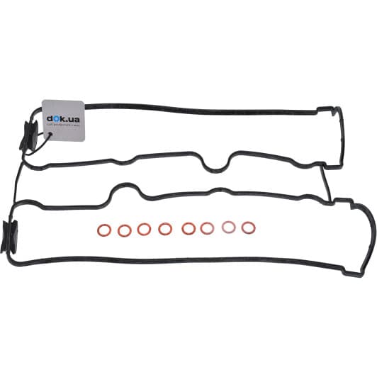 15-38269-01 Reinz Комплект прокладок клапанної кришки