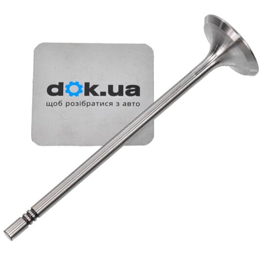 R6839/S Freccia Впускной клапан