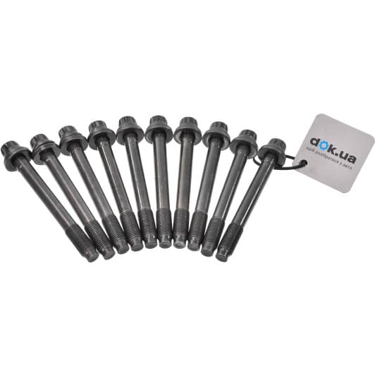 14-55075-01 Reinz Болт ГБЦ