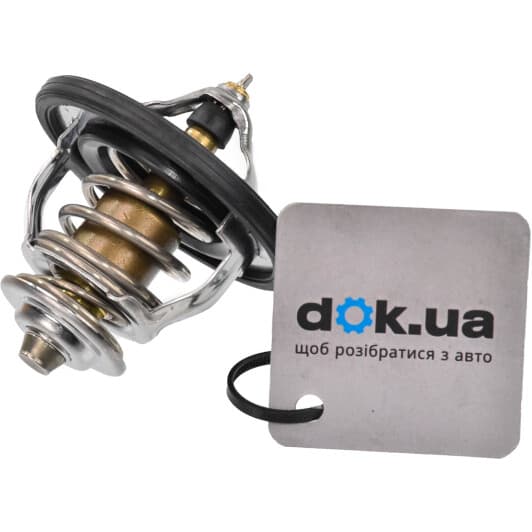 255002E000 Hyundai / Kia Термостат