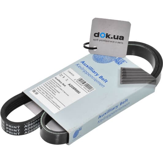 AD05R880 Blue Print Поліклиновий ремінь