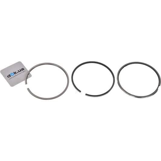 021 93 V2 Mahle Комплект поршневых колец