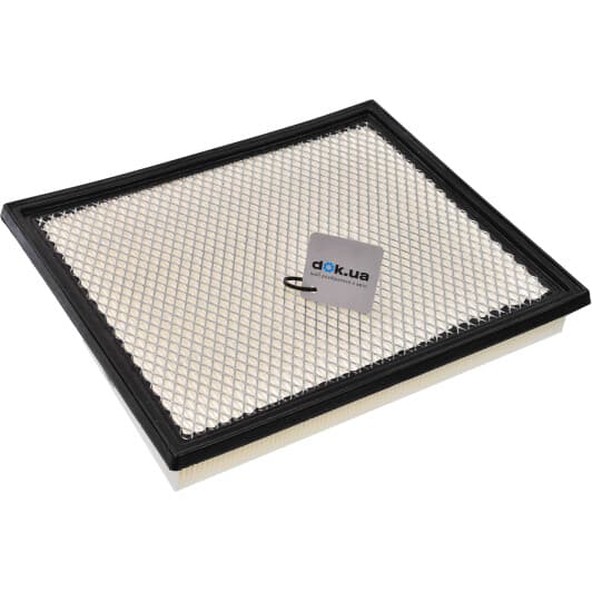 CAF100666P Champion Воздушный фильтр