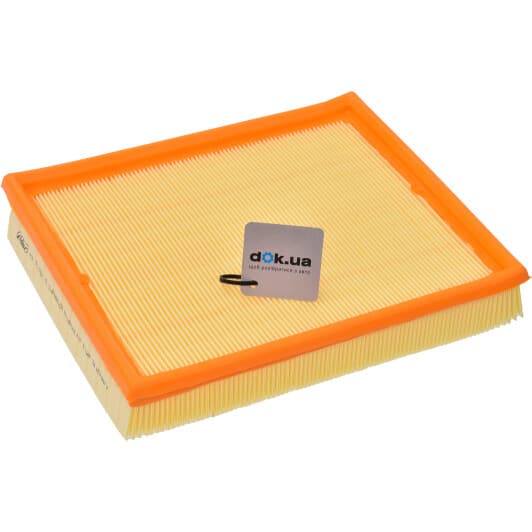 RD1340WA6208 Rider Воздушный фильтр