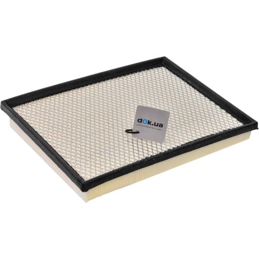 CAF100794P Champion Воздушный фильтр