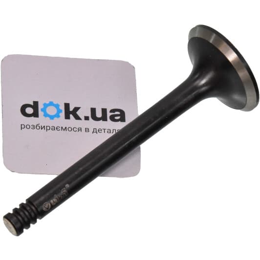 11090213901 Vika Випускний клапан