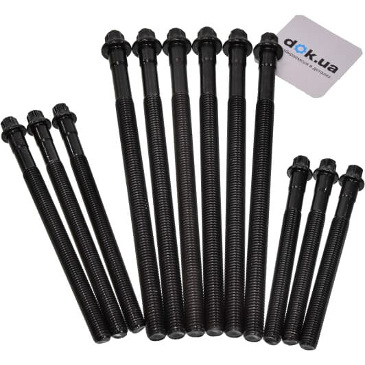 14-32310-01 Reinz Болт ГБЦ