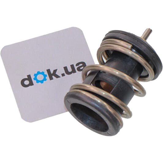 B18261 Borsehung Термостат