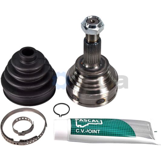 G1A001PC Pascal Граната