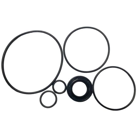 BW8006KIT MSG Насос ГУР