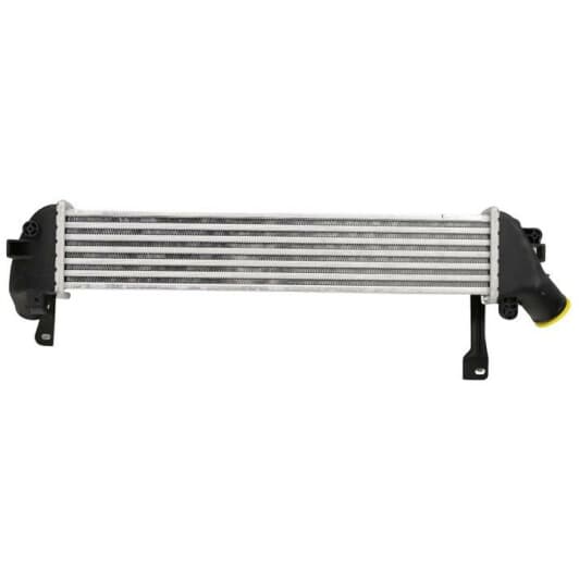 ft55591 Fast Інтеркулер