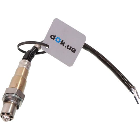 10.7007 Facet Лямбда-зонд