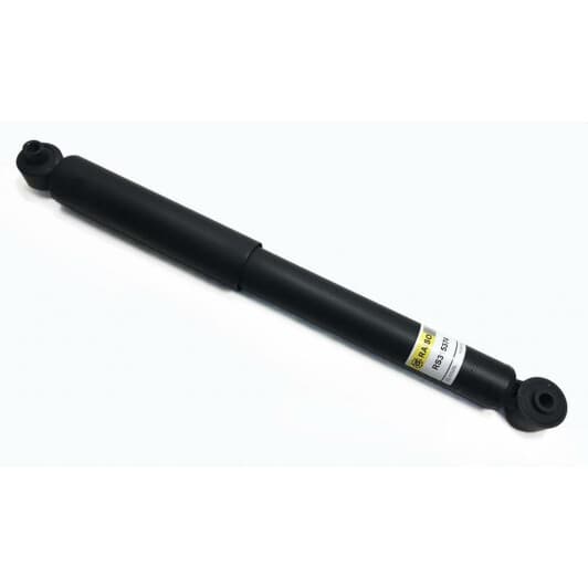 rs315374 RAISO Амортизатор