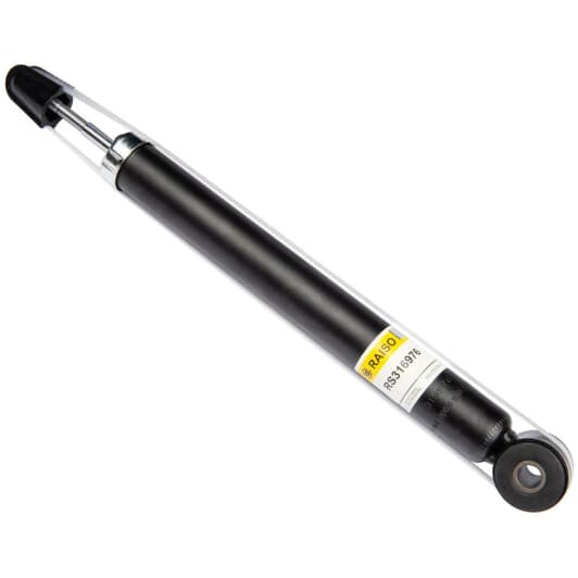 rs316976 RAISO Амортизатор