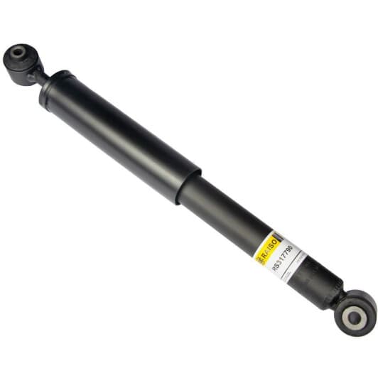rs317790 RAISO Амортизатор