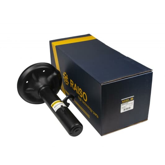 rs317570 RAISO Стійка амортизатора для BMW X3