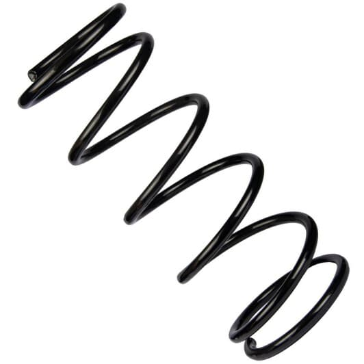 sf110tp RAISO Пружина підвіски