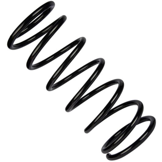 sf116tp RAISO Пружина підвіски