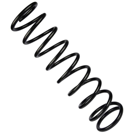 sr109tp RAISO Пружина задня Lada 2102/04 (496*12,0*125)