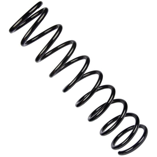 sr111tp RAISO Пружина подвески для Lada Samara