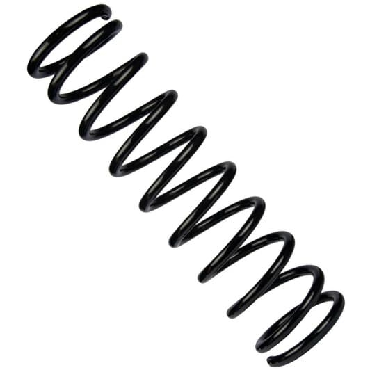 sr117tp RAISO Пружина подвески