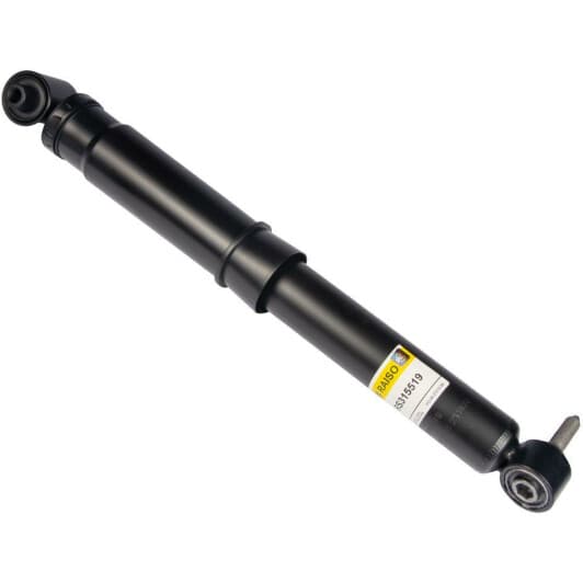 rs315519 RAISO Амортизатор