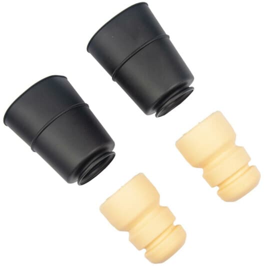 rk10119 RAISO Комплект (пыльники + отбойники)