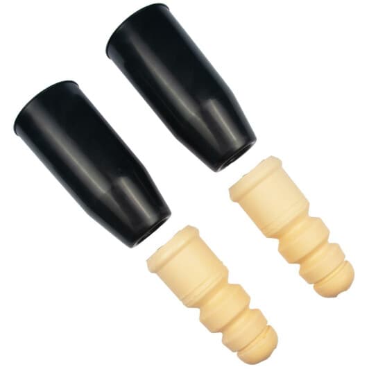 rk10120 RAISO Комплект (пильники + відбійники)