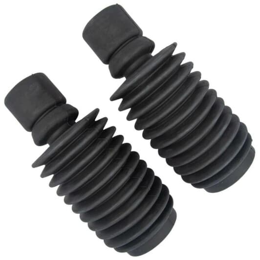 rk12028 RAISO Комплект (пильники + відбійники)