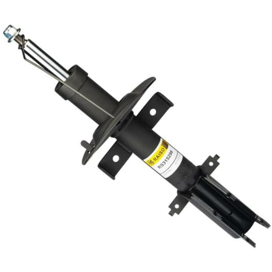 rs315298 RAISO Стойка амортизатора