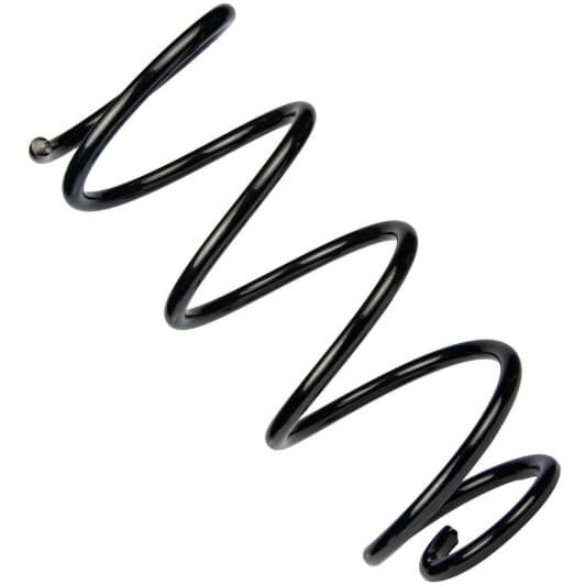 sf219tp RAISO Пружина подвески