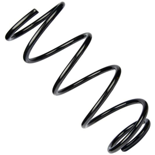 sf220tp RAISO Пружина подвески