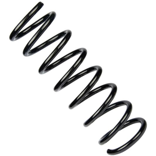 sr218tp RAISO Пружина подвески