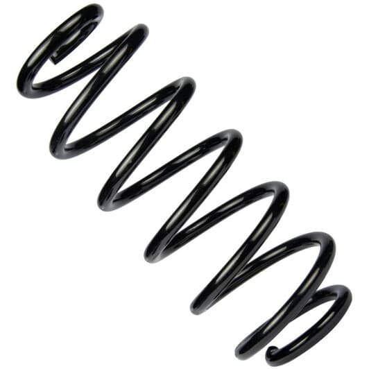 sr228tp RAISO Пружина подвески