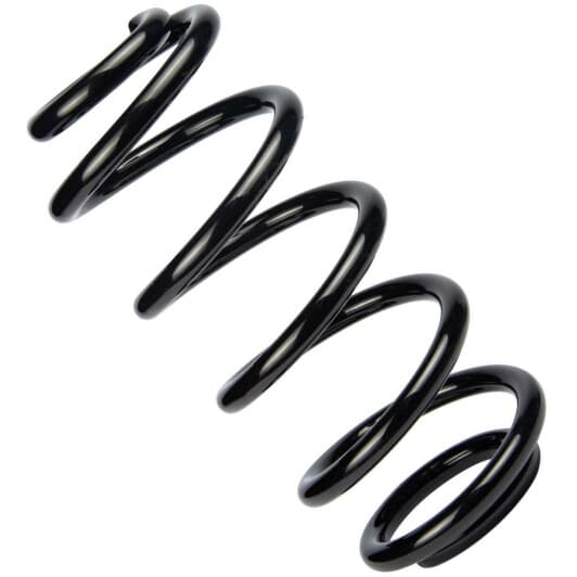 sf122tp RAISO Пружина підвіски