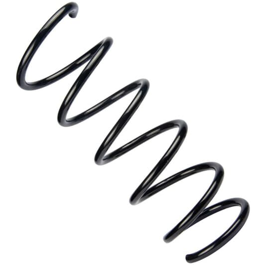 sf141tp RAISO Пружина підвіски