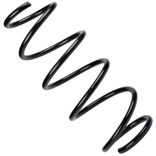 sf173tp RAISO Пружина подвески