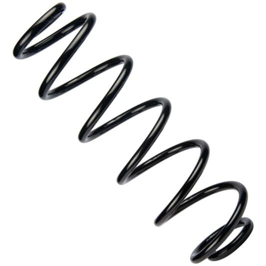 sr125tp RAISO Пружина підвіски