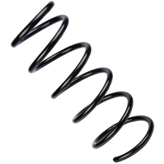 sr142tp RAISO Пружина подвески