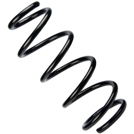 sr143tp RAISO Пружина підвіски