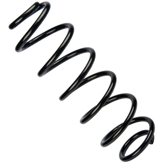 sr156tp RAISO Пружина подвески