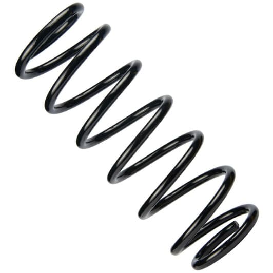 sr159tp RAISO Пружина подвески