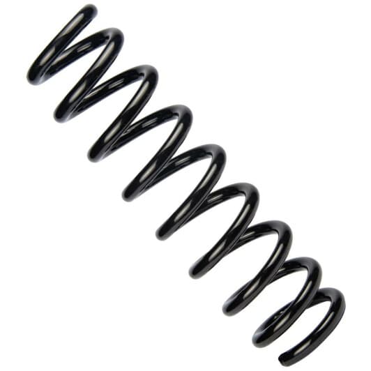 sr138tp RAISO Пружина підвіски