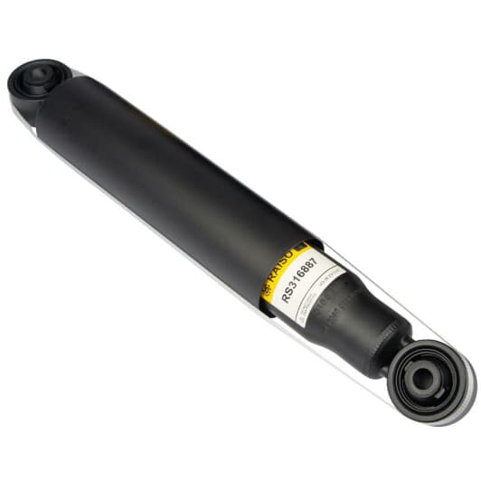 rs316887 RAISO Амортизатор