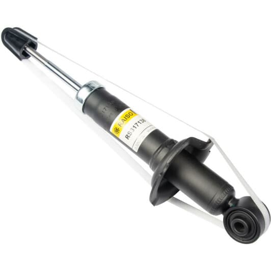 rs317138 RAISO Стойка амортизатора для Honda Civic