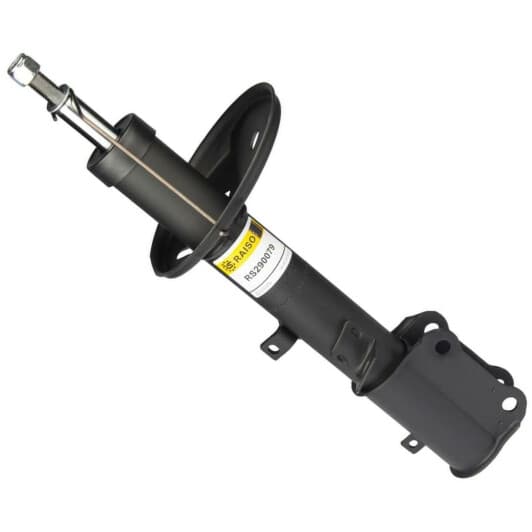 rs290079 RAISO Стойка амортизатора для Toyota Corolla