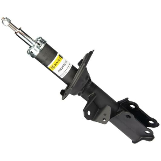 rs315221 RAISO Амортизатор
